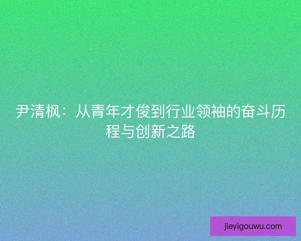 尹清枫：从青年才俊到行业领袖的奋斗历程与创新之路