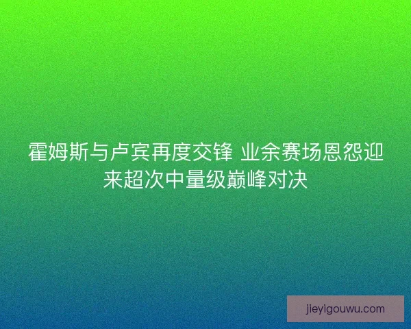 霍姆斯与卢宾再度交锋 业余赛场恩怨迎来超次中量级巅峰对决