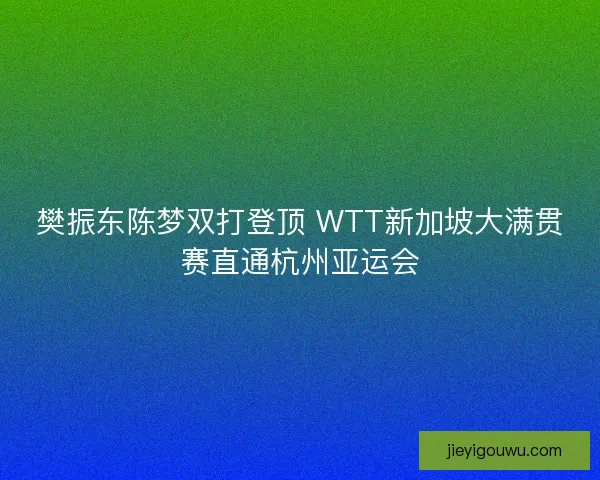 樊振东陈梦双打登顶 WTT新加坡大满贯赛直通杭州亚运会