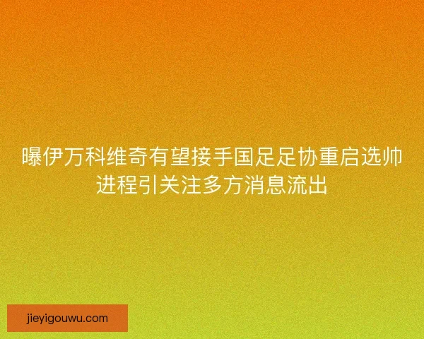 曝伊万科维奇有望接手国足足协重启选帅进程引关注多方消息流出