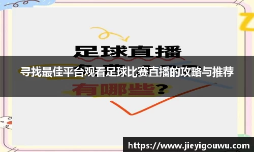 VSport网址